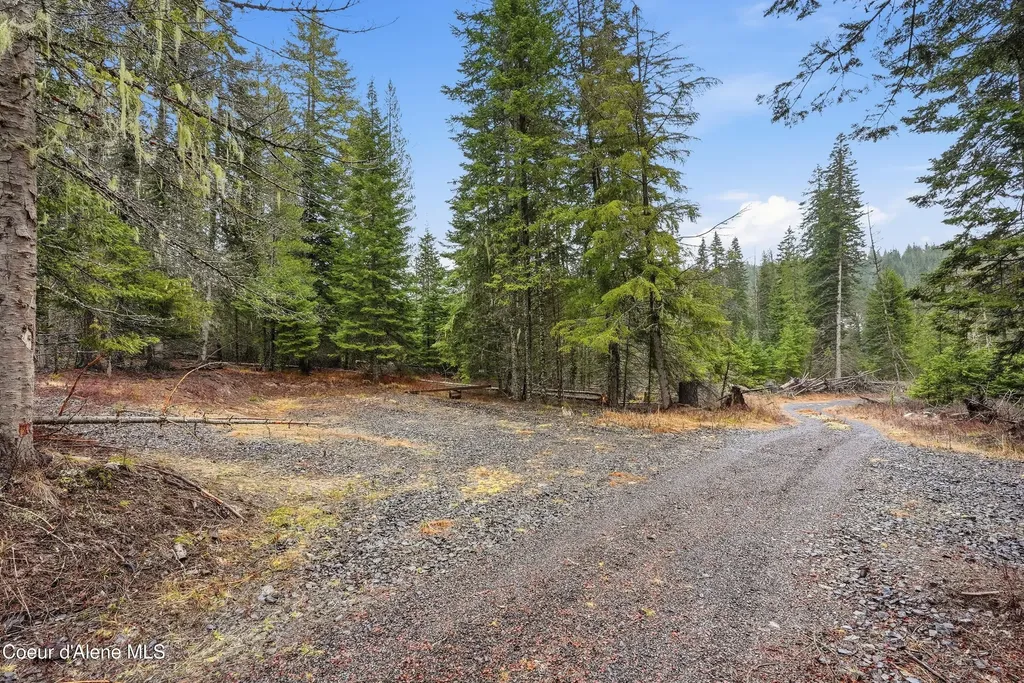 1428 W Elkhorn Meadows Road Fernwood ID 83830