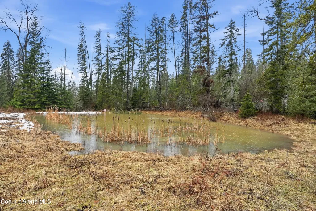 1428 W Elkhorn Meadows Road Fernwood ID 83830