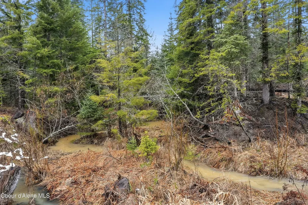 1428 W Elkhorn Meadows Road Fernwood ID 83830