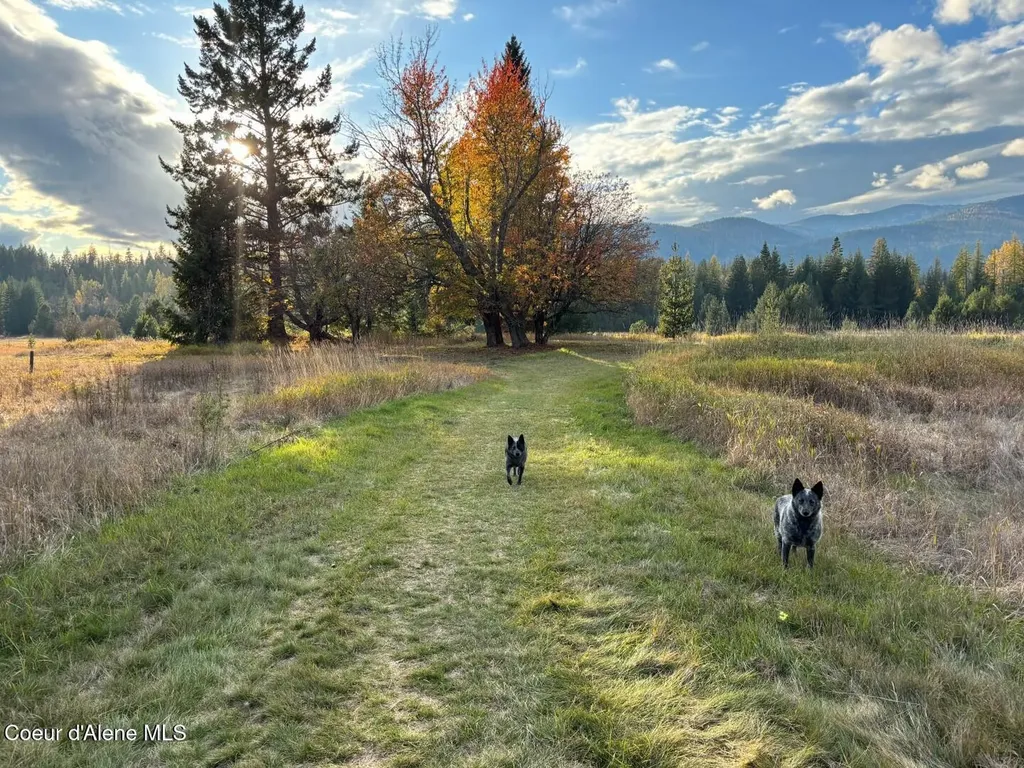 2222 Hidden Valley Road Sandpoint ID 83864