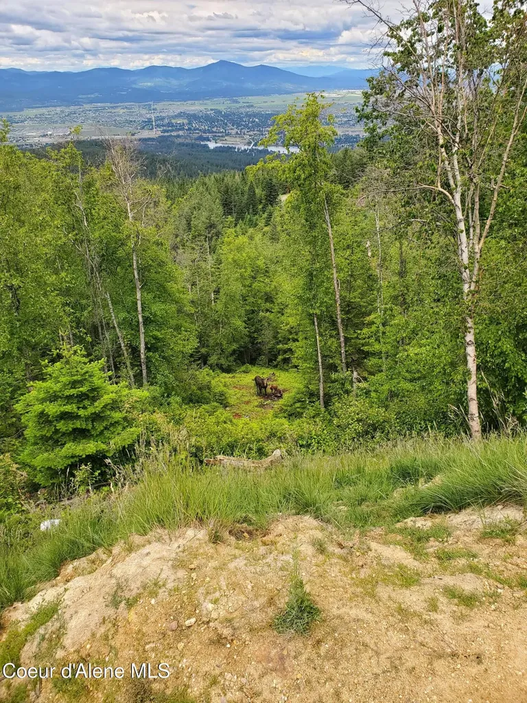 Nka Mellick Road Post Falls ID 83854