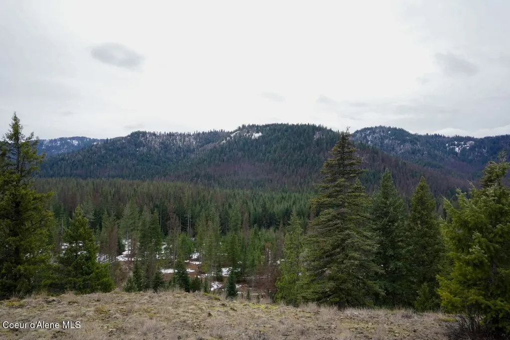 128 Quill Drive Priest River ID 83856