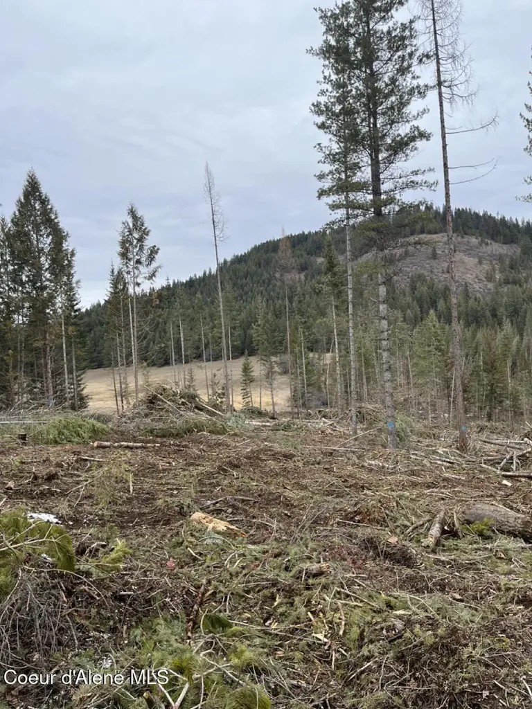 128 Quill Drive Priest River ID 83856