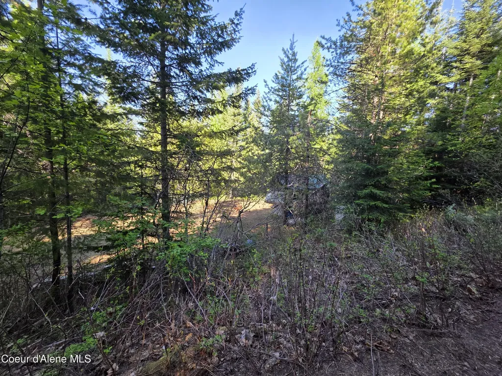 Nka Lookout Road Newport WA 99156