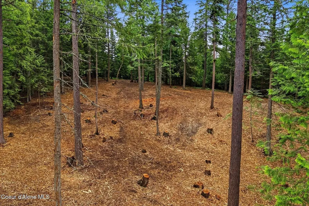 Nna Cedar Ridge Dover ID 83825