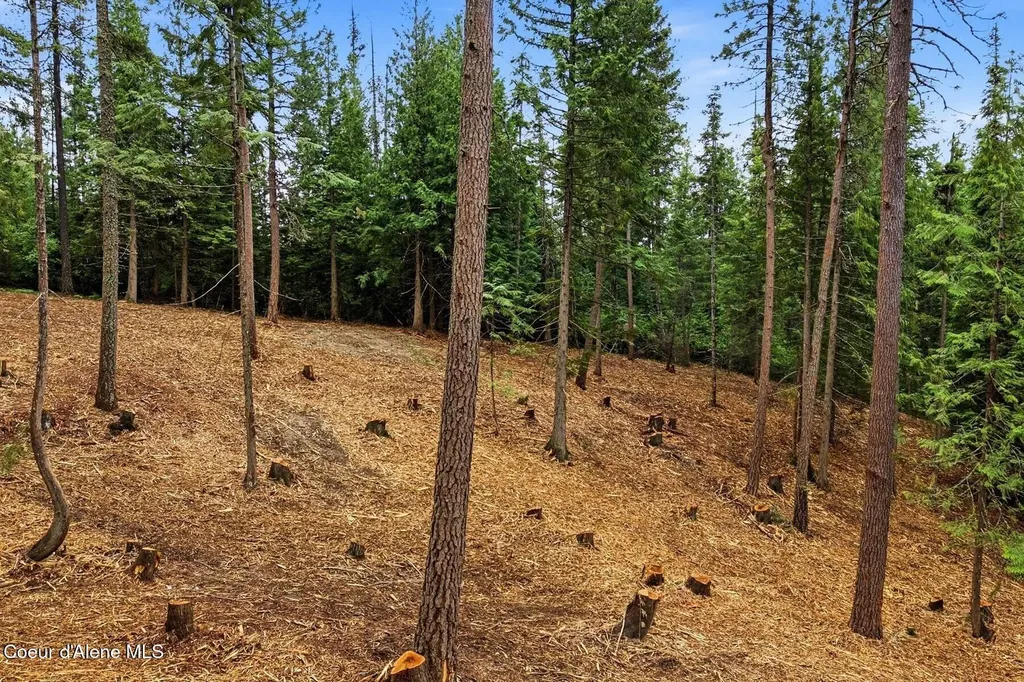 Nna Cedar Ridge Dover ID 83825