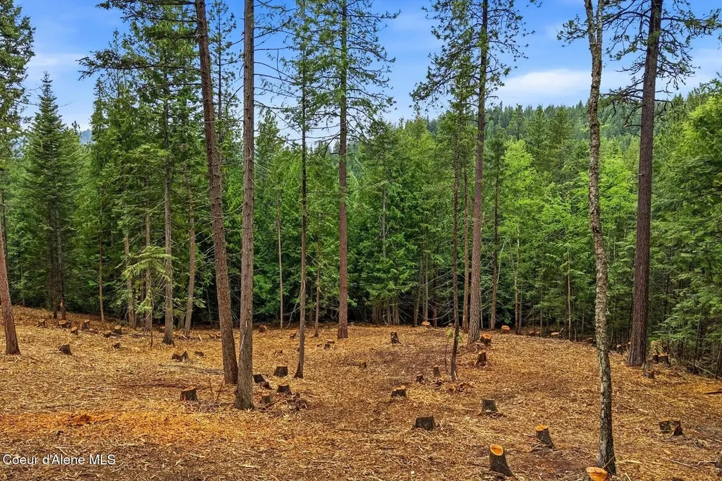 Nna Cedar Ridge Dover ID 83825
