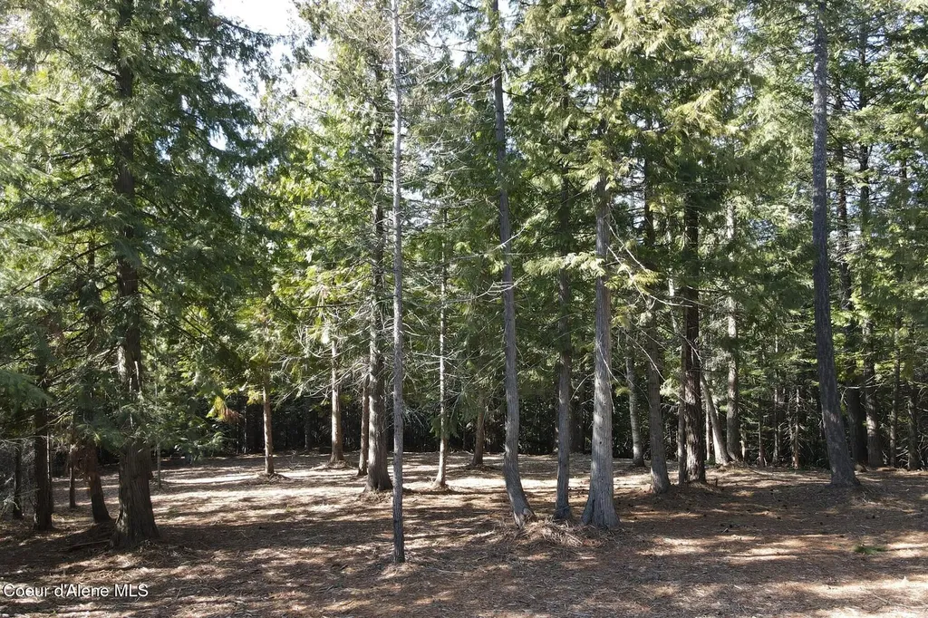 Nna Cedar Ridge Dover ID 83825