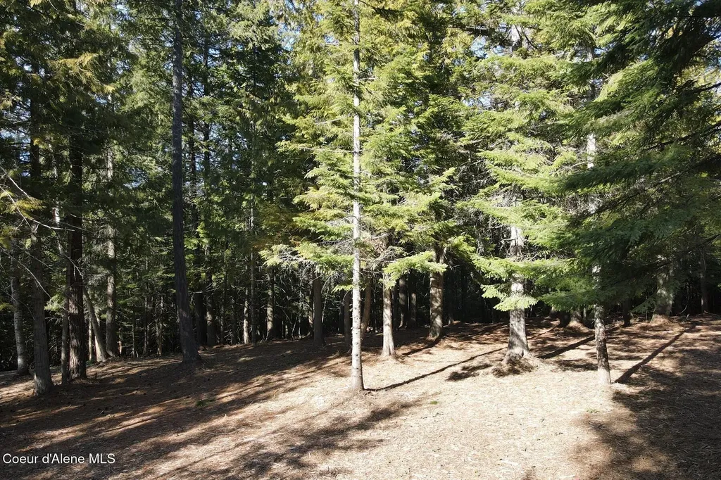 Nna Cedar Ridge Dover ID 83825