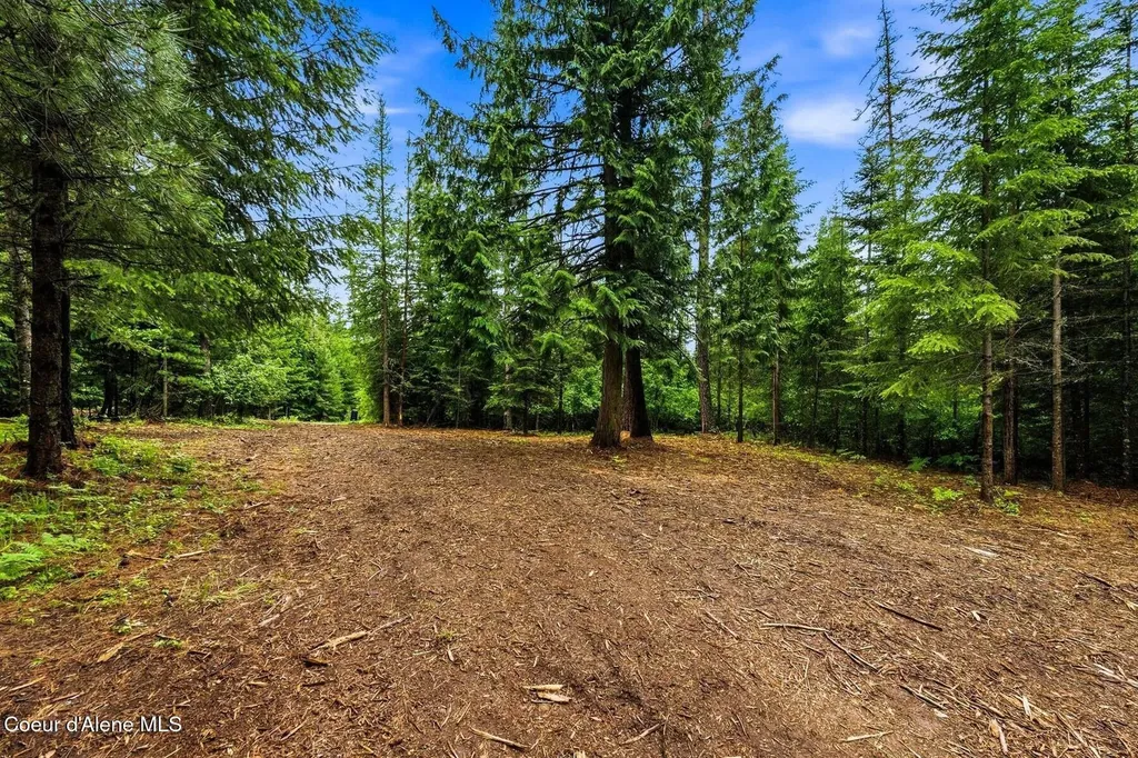 Nna Cedar Ridge Dover ID 83825