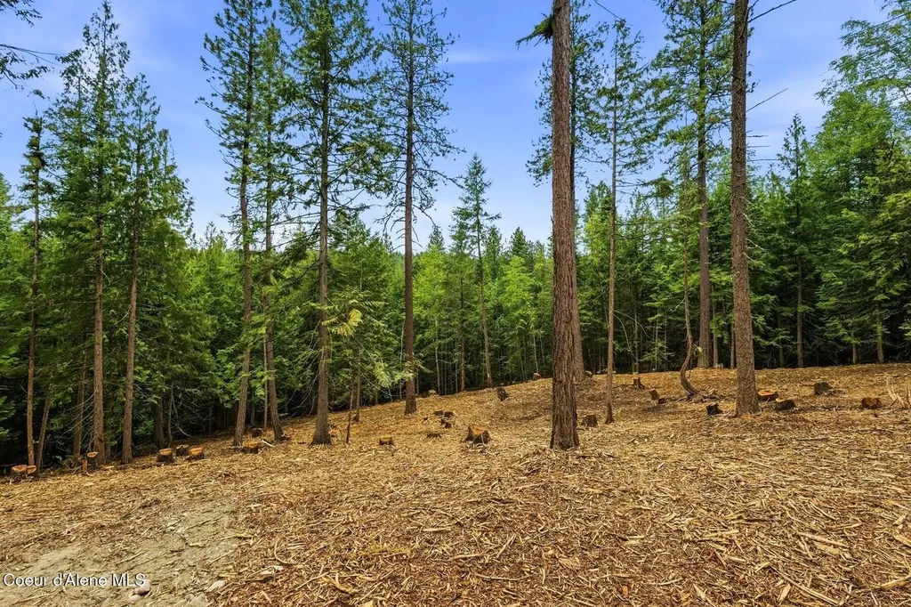Nna Cedar Ridge Dover ID 83825