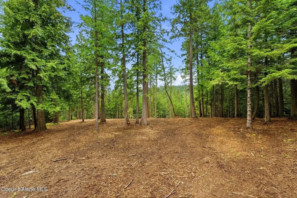Nna Cedar Ridge Dover ID 83825