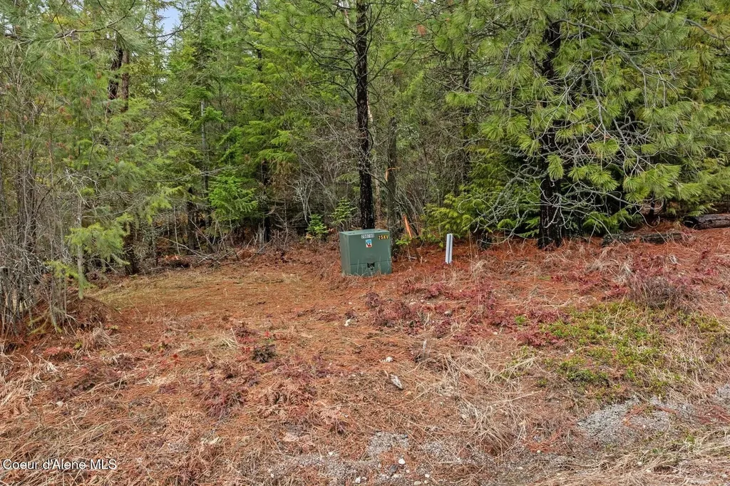 Nna Cedar Ridge Dover ID 83825