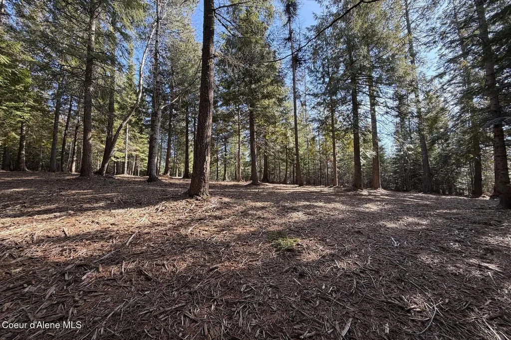 Nna Cedar Ridge Dover ID 83825