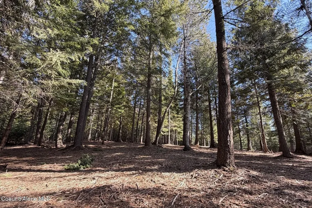 Nna Cedar Ridge Dover ID 83825