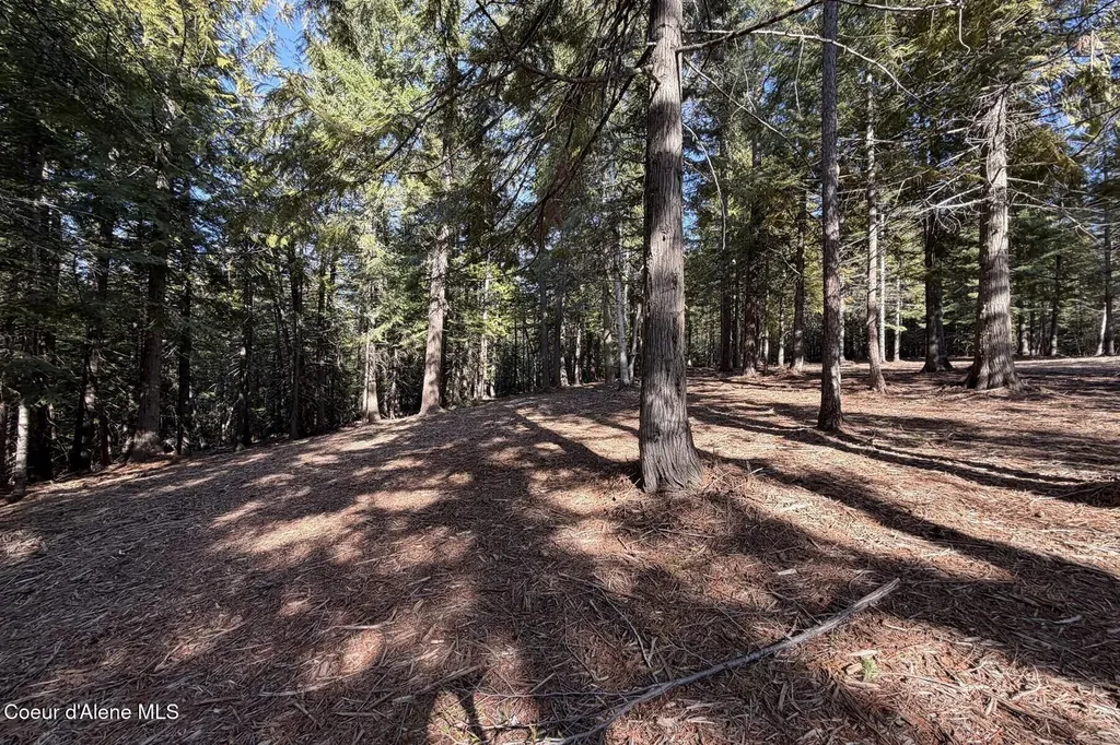 Nna Cedar Ridge Dover ID 83825