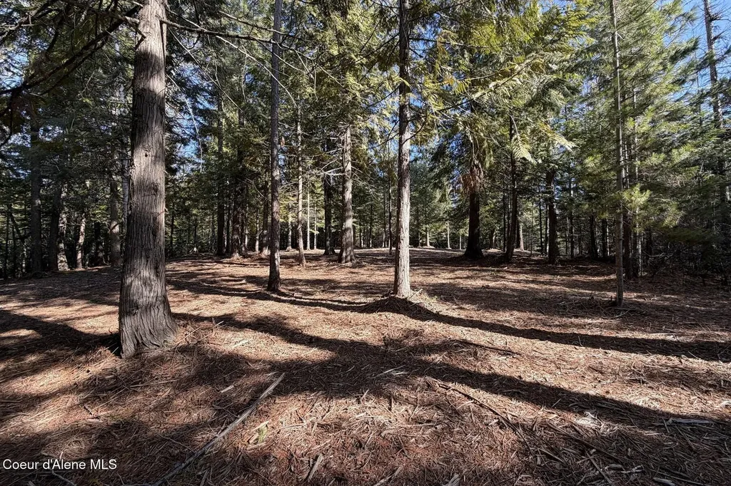 Nna Cedar Ridge Dover ID 83825