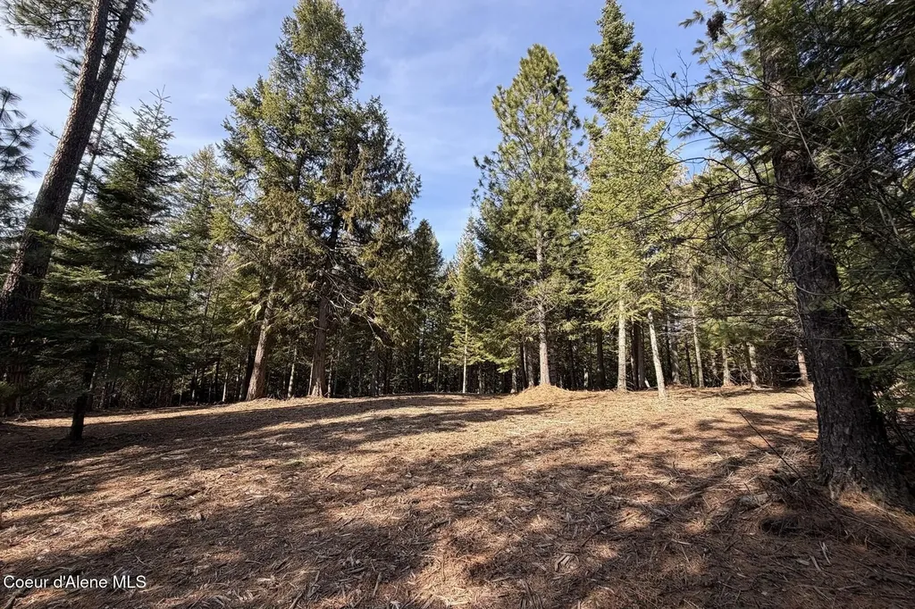 Nna Cedar Ridge Dover ID 83825
