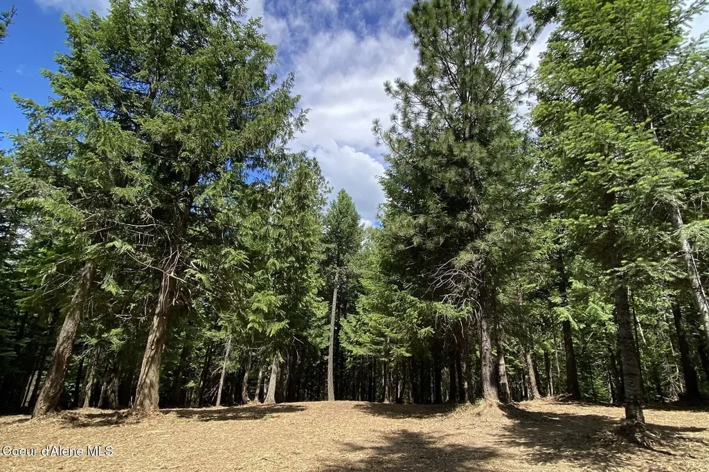 Nna Cedar Ridge Dover ID 83825