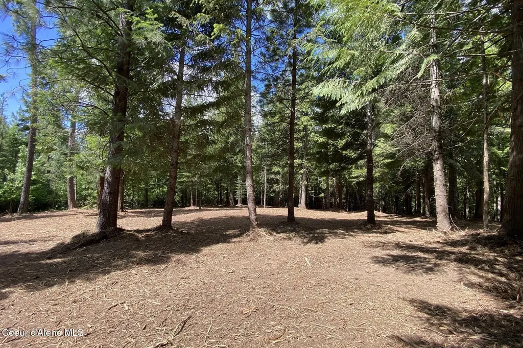 Nna Cedar Ridge Dover ID 83825