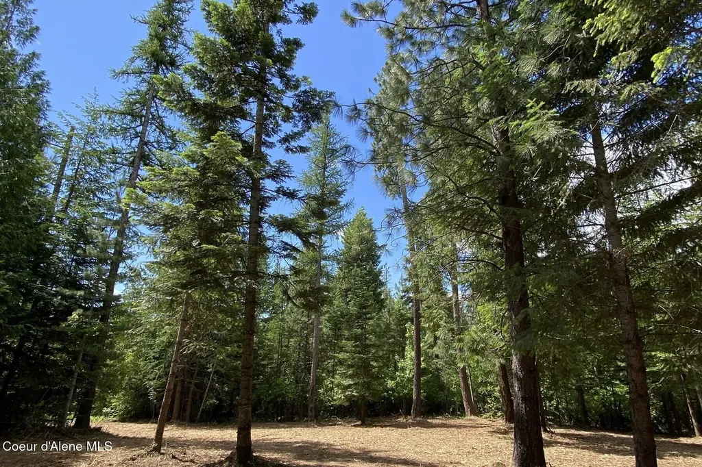 Nna Cedar Ridge Dover ID 83825