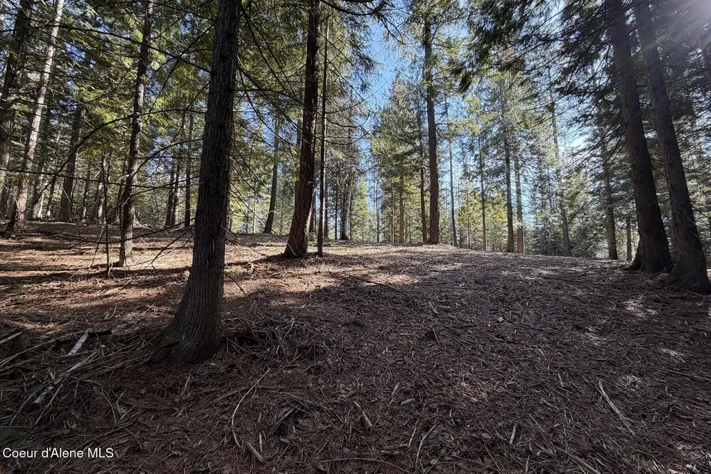 Nna Cedar Ridge Dover ID 83825