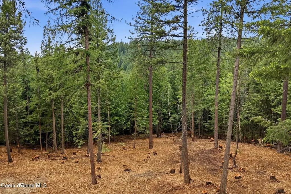 Nna Cedar Ridge Dover ID 83825