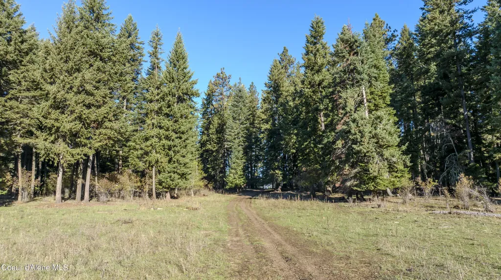 Nka 320acs Summer Road Orofino ID 83544