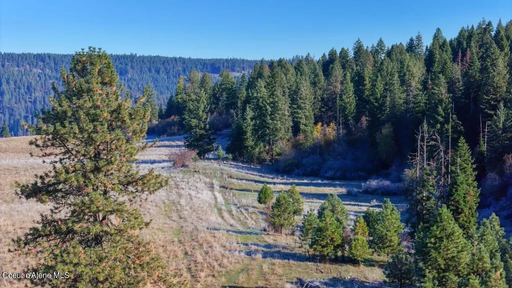 Nka 320acs Summer Road Orofino ID 83544