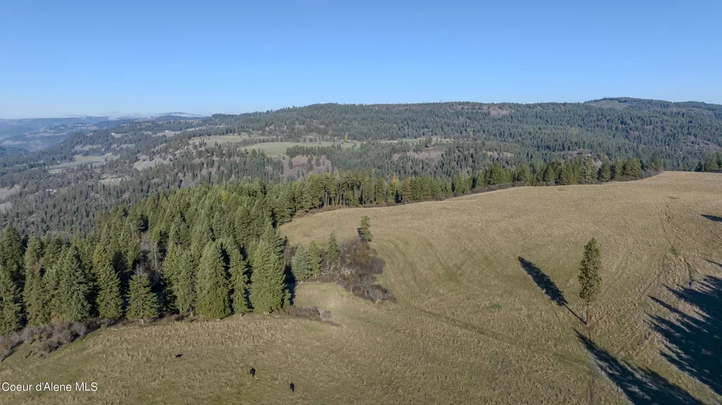 Nka 320acs Summer Road Orofino ID 83544