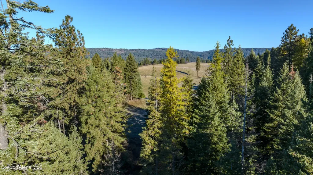 Nka 320acs Summer Road Orofino ID 83544