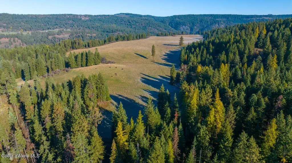 Nka 320acs Summer Road Orofino ID 83544