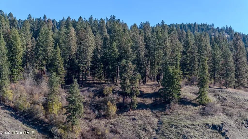 Nka 320acs Summer Road Orofino ID 83544