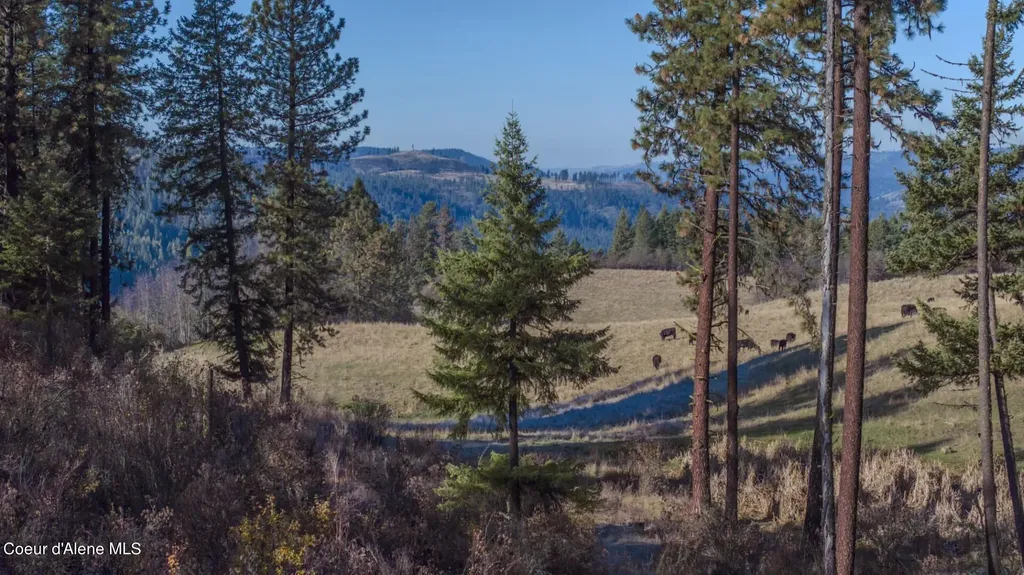 Nka 320acs Summer Road Orofino ID 83544