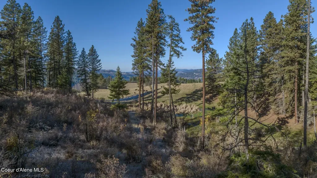 Nka 320acs Summer Road Orofino ID 83544
