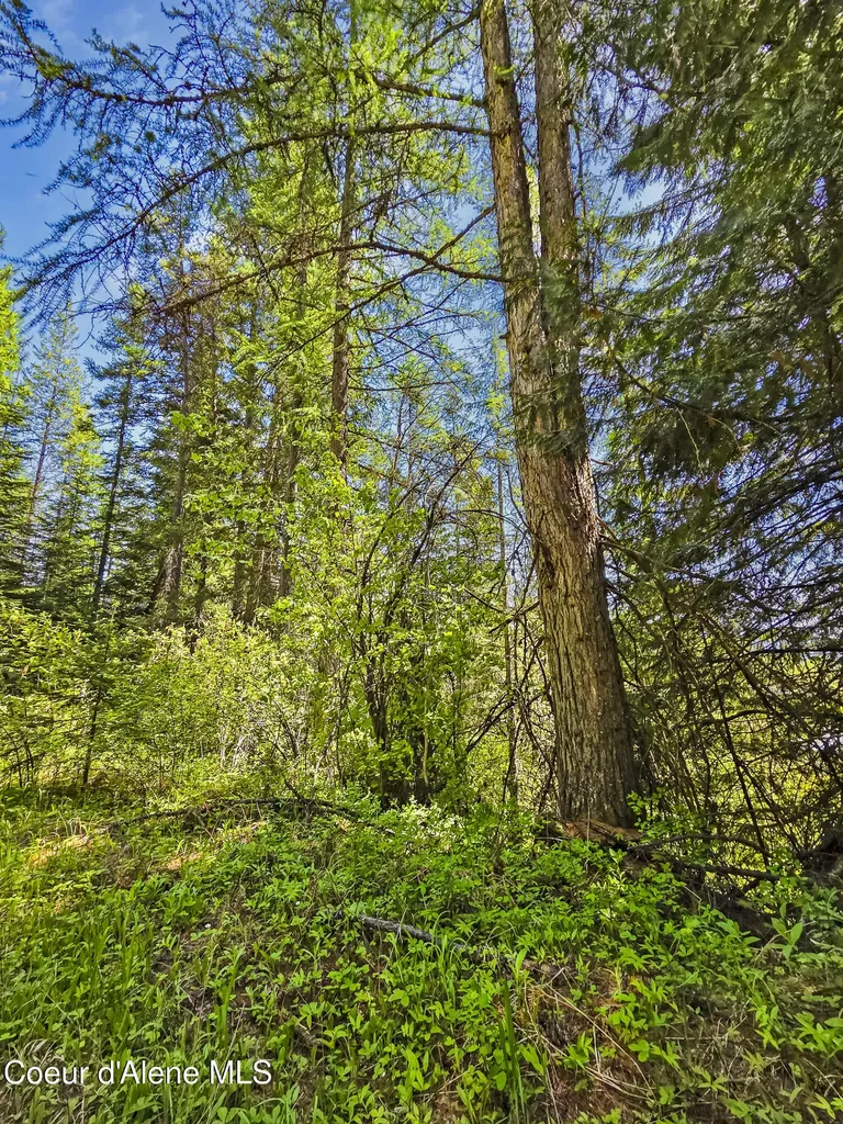Nna Tanglewood Drive Priest River ID 83856