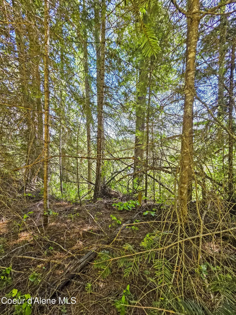 Nna Tanglewood Drive Priest River ID 83856