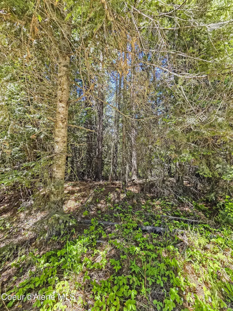 Nna Tanglewood Drive Priest River ID 83856