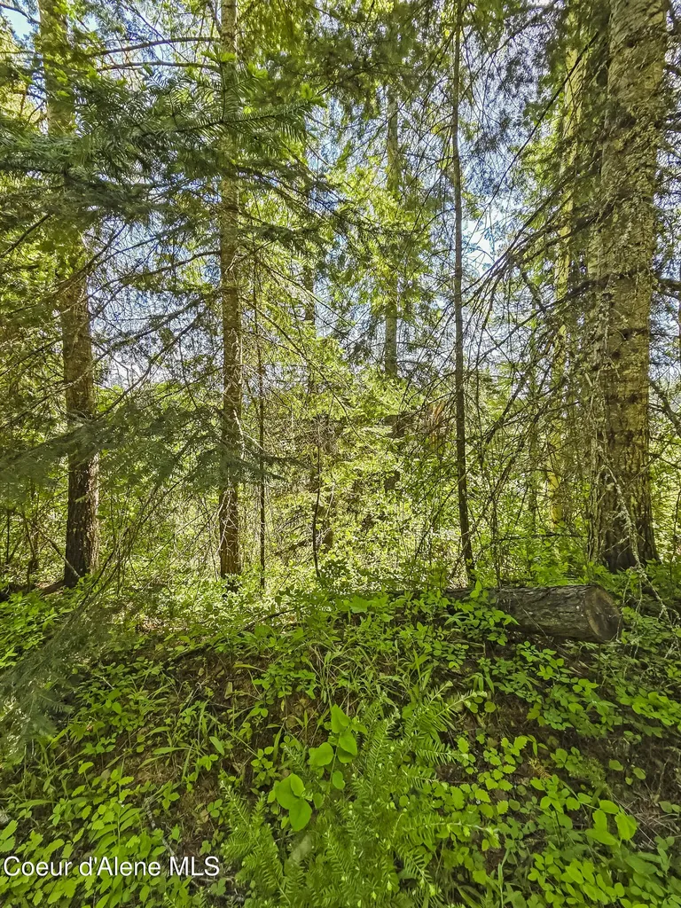 Nna Tanglewood Drive Priest River ID 83856