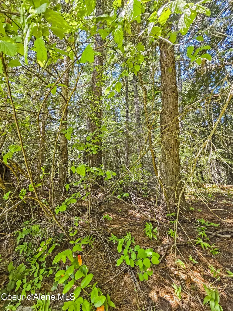 Nna Tanglewood Drive Priest River ID 83856