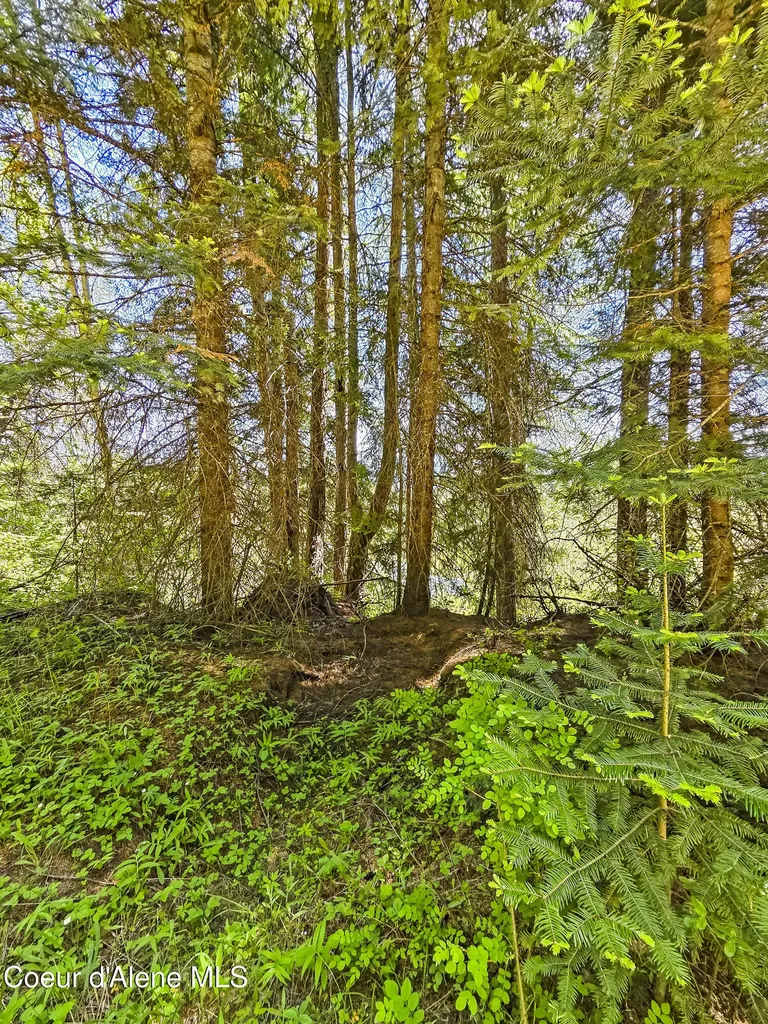Nna Tanglewood Drive Priest River ID 83856