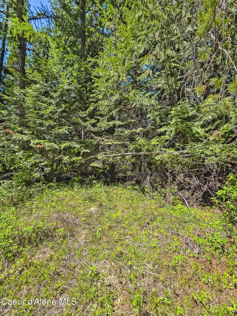 Nna Tanglewood Drive Priest River ID 83856