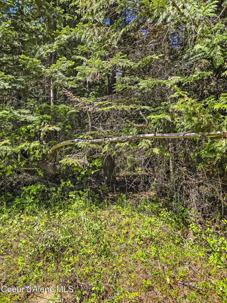 Nna Tanglewood Drive Priest River ID 83856