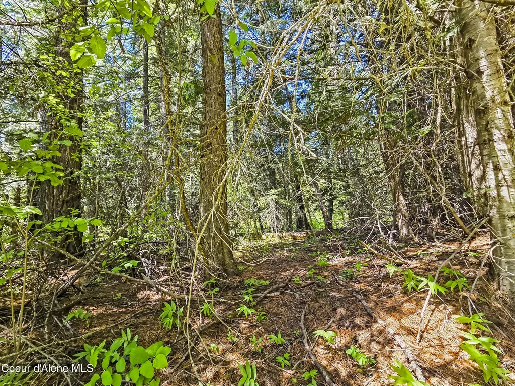 Nna Tanglewood Drive Priest River ID 83856