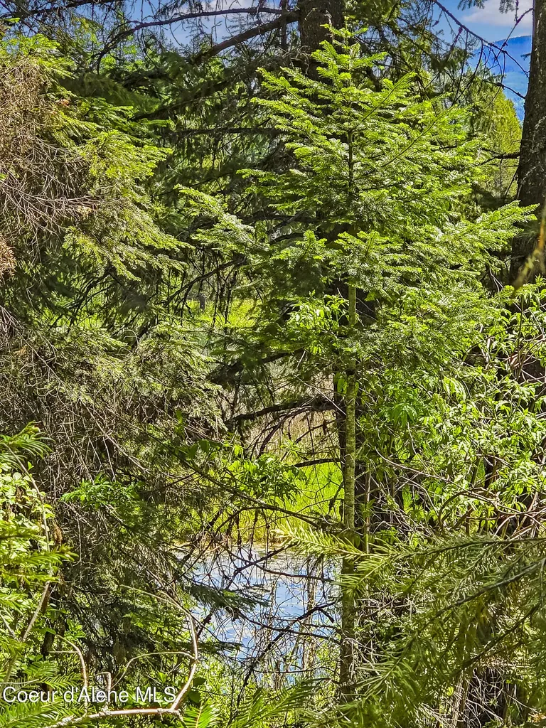 Nna Tanglewood Drive Priest River ID 83856