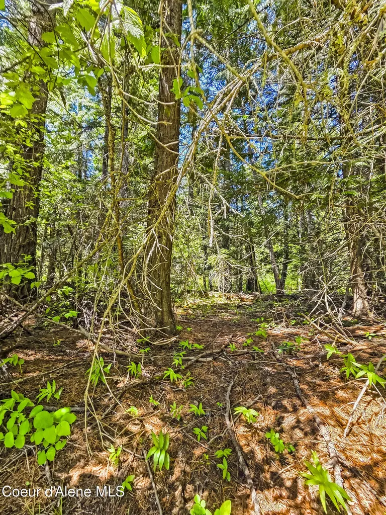 Nna Tanglewood Drive Priest River ID 83856