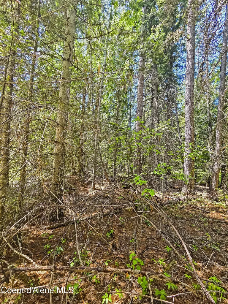 Nna Tanglewood Drive Priest River ID 83856