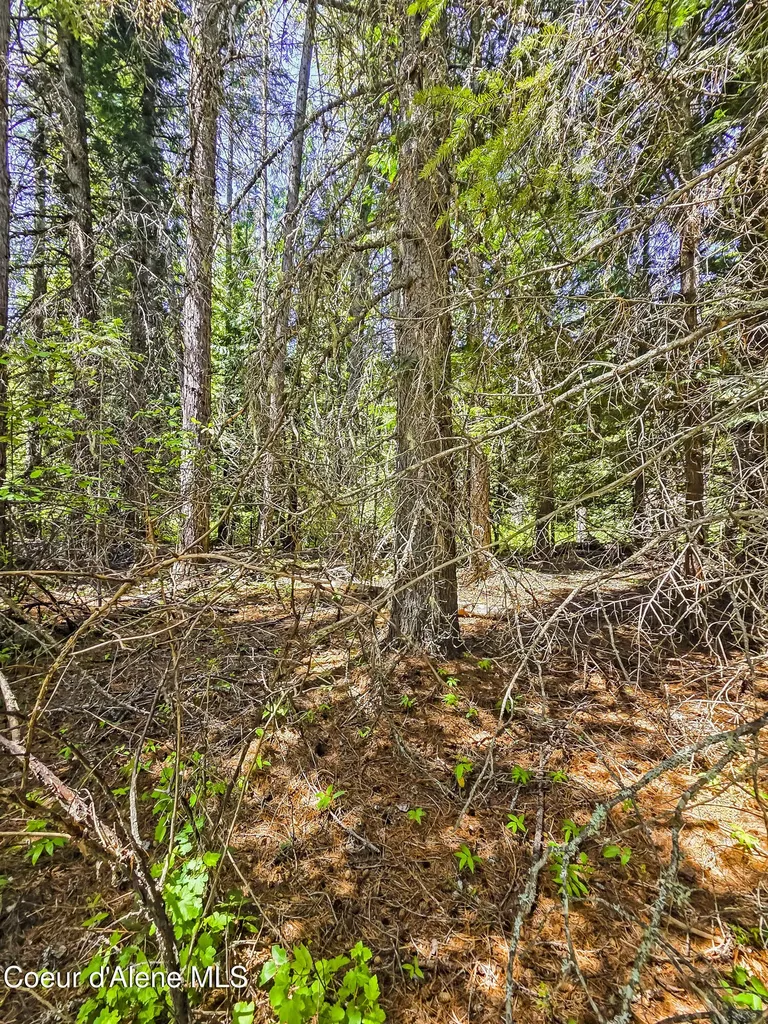 Nna Tanglewood Drive Priest River ID 83856