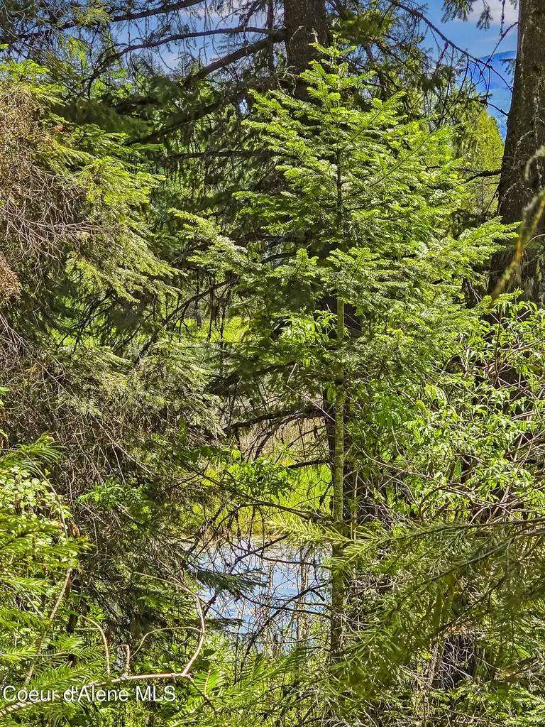 Nna Tanglewood Drive Priest River ID 83856