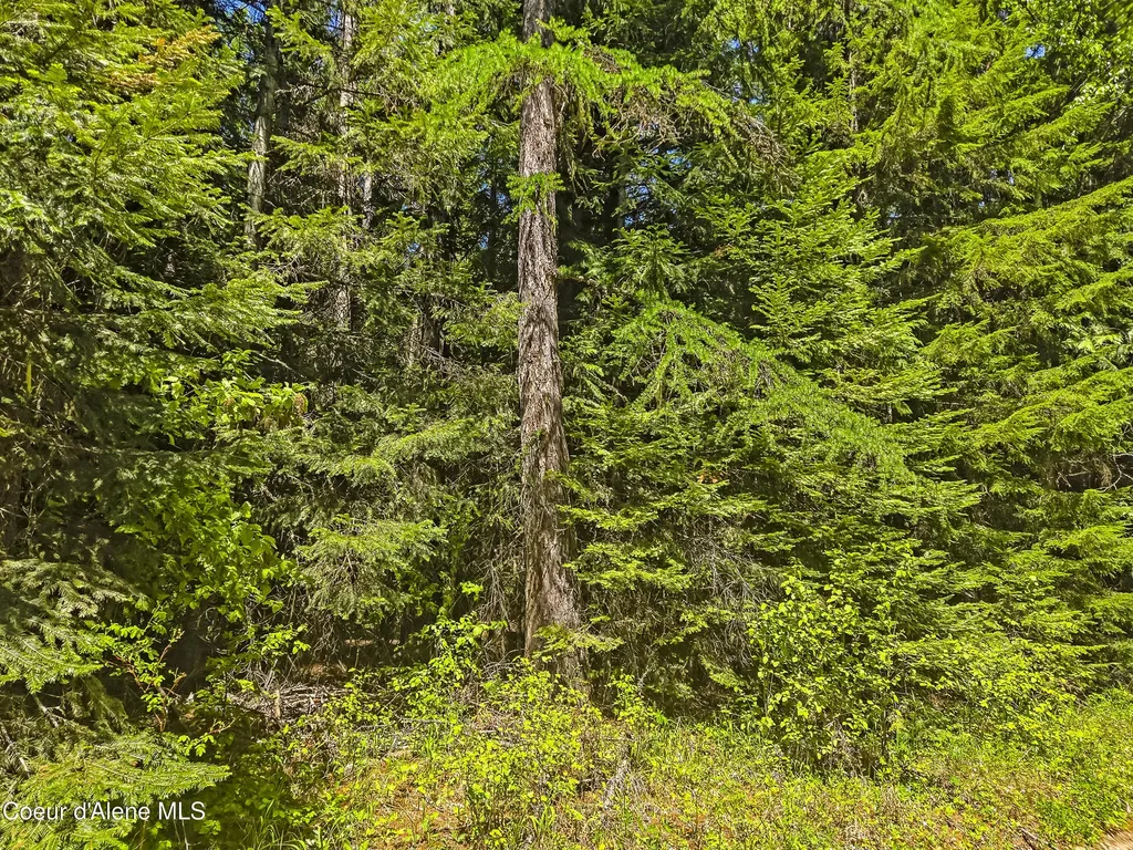 Nna Tanglewood Drive Priest River ID 83856